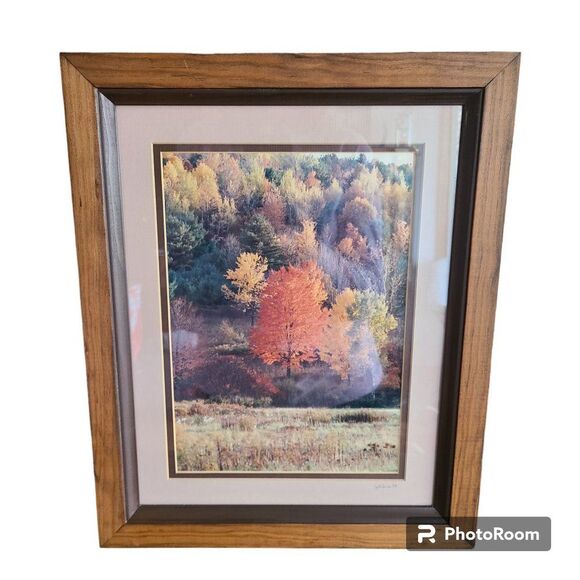 Vintage Autumn Fall Photography Wall Hanging Framed and Matted J Palmer 1988 - Picture 1 of 16